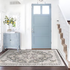 TTelephant Boho Area Rug - 4x6 Washable Area Rug with Non-Slip Backing Low-Pile Bohemian Washable Living Room Rug Distressed Entryway Rug Printed Rug for Living Room Office Farmhouse Bedroom- Ash