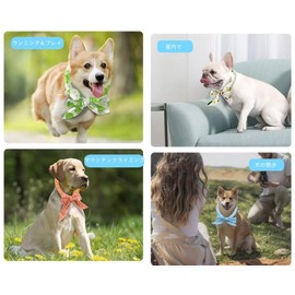 Cool Neck, Cold Collar, Contact Cooling Scarf, Heat Protection, Dog Neck Cooler, Ice Pack, Repeated Use, Dog Neck Cooler, Safe, Odorless, Quick Drying, Heatstroke Protection, Indoor Use, Walking, Happy Frog, 5 x 100 cm)