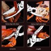 ACCUFINE Crab Crackers and Tools in Case Stainless Steel Set