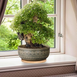 G EPGardening 8 Inch Ceramic Succulent Planter Pots Round Shallow Bonsai Planter Pot for Indoor Plants with Drainage and Bamboo Saucer Gray