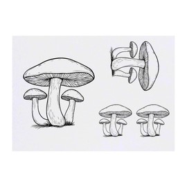 4 x 'Three Mushrooms' Temporary Tattoos - Water Resistant, Skin-Safe, Non-Toxic Transfers, Mixed Sizes (TO00082934)