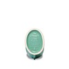 The Original Gluggle Jug - Sea Green Gluggle Jug in