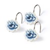 Popular Bath Dublin Rose, Shower Hooks, Blue