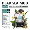 Dead Sea Mud Multi-Purpose Cream Face and Body Skin