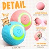 WinnerWhy 6 Pack Interactive Cat Ball Toy for Indoor Automatic