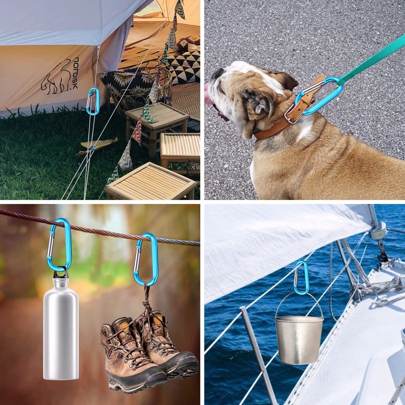 CampTek 6PCS Carabiner Caribeaner Clip,3" Large Aluminum D Ring Shape