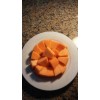 Fresh HALES JUMBO CANTALOUPE SUPPER SWEET SEEDS, 50+ SEEDS, NON