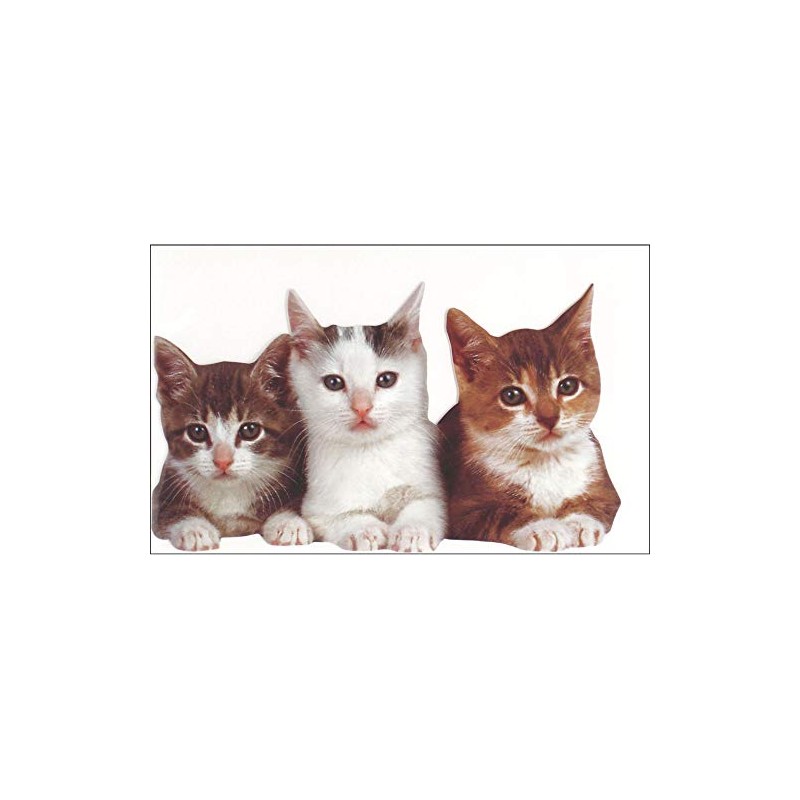 Paper House Productions Three Kittens Blank Card