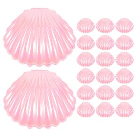 BESTOYARD Novelty Boxes 20Pcs Sea Shells Candy Boxes Seashell Party Favor Containers Jewelry Storage Holders Shell Shaped Boxes