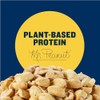 Planters Single Serve Salted Peanuts, 1 oz. Bags (Pack of