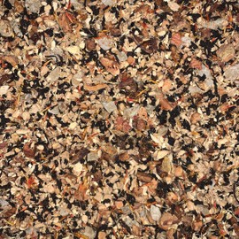 True Leaf Tea Organic Wizards Brew Tea (4 oz)