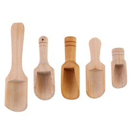 Healvian Washing Jar Spoons 5 Pcs Mini Wooden Scoop Small Small for Sugar Cooking Curiosity Approach Resources