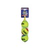 Nobby 60496 Tennis Ball with Squeaker M Net