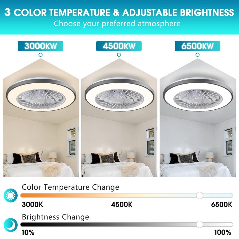 XINSHUO 20'' Low Profile Ceiling Fan with Light & Remote,