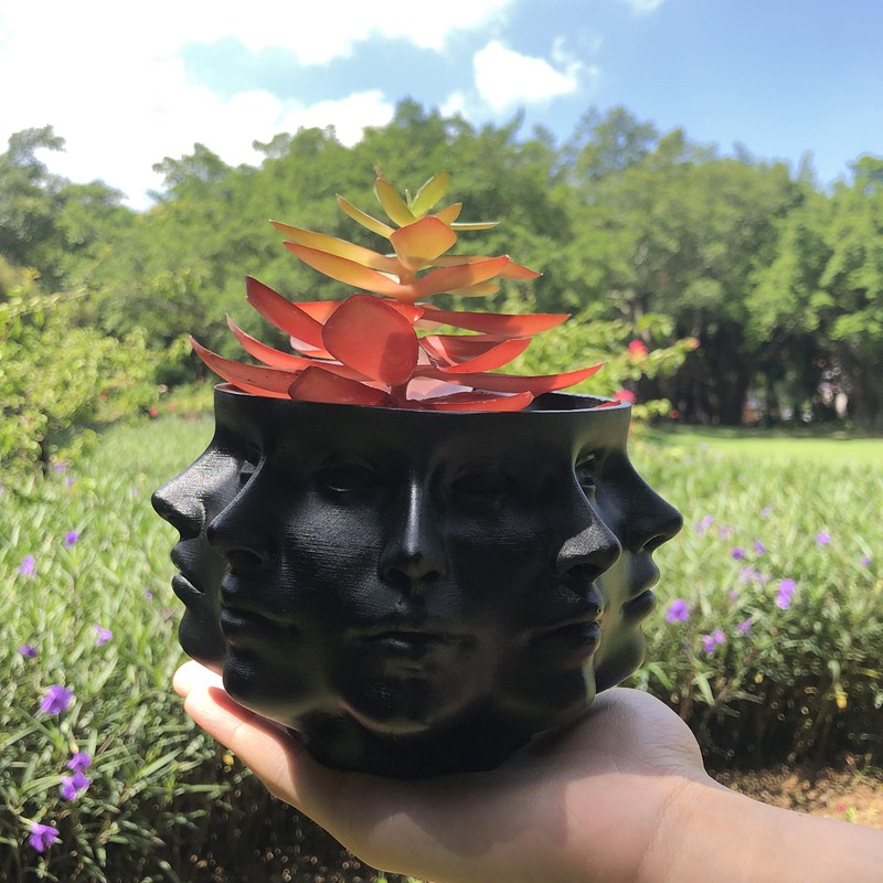 Multi-Face Succulent Planter Vase Small Face Plante Head Face Vase