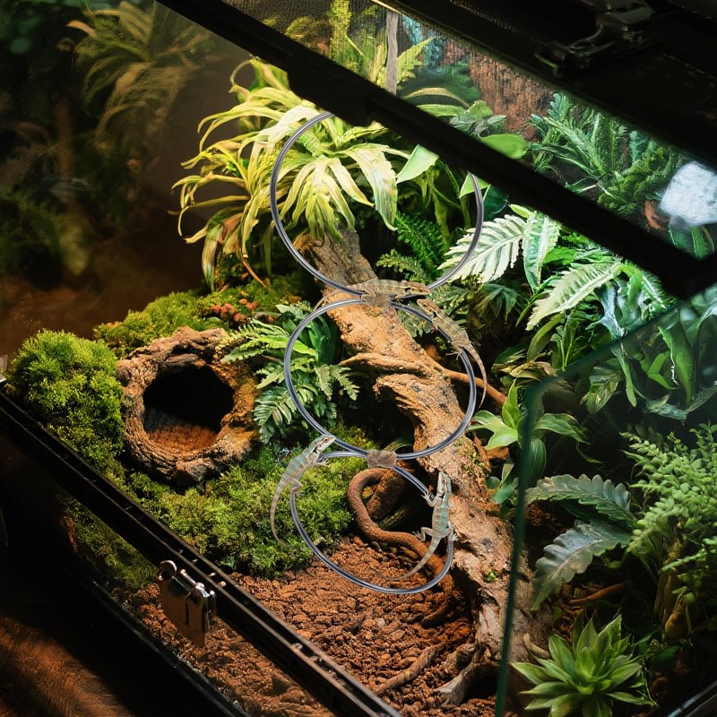 Adjustable Snake Climbing Links for Ball Pythons & Corn Snakes