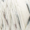 CARON Simply Soft Speckle Yarn, Seashell