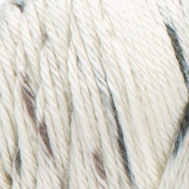 CARON Simply Soft Speckle Yarn, Seashell