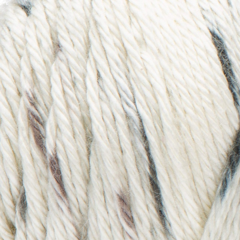 CARON Simply Soft Speckle Yarn, Seashell