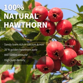 Wanhua Hall Dried Hawthorn Fruit Tea Premium Seedless Hawthorn Berries Hawthorn Slices Fruit Tea 山楂干 山楂 山楂片 7.06oz / 200g