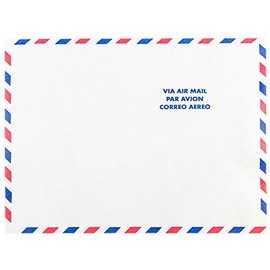 JAM PAPER Tyvek Tear-Proof Open End Catalog Envelopes - 10 x 13 - White Airmail - 50/Pack