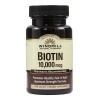 Biotina 10,000mcg Windmill Biotin 100 Tabletas Biotina
