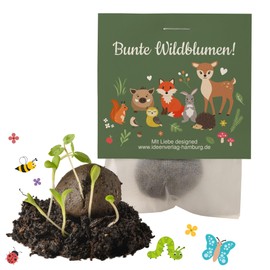 10x "Waldtiere" Samenbomben Kindergeburtstag / Waldtiere Mitgebsel Waldtieregeburtstag / Geschenke Kindergeburtstag Mitgebsel Kindergeburtstag Waldtiere / Samenbomben Mitgebsel / Saatbomben Kinder