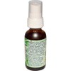 Flower Essence Services Grounding Green Spray Herbal Supplements, 1 Ounce