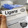 Ligara® for SC Paderborn Fan Item Gift Birthday Fans (1x
