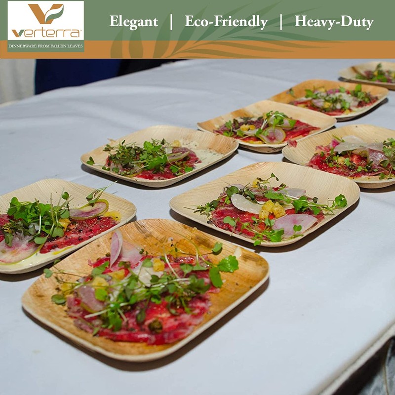Verterra Compostable Palm Leaf 8-inch Square Disposable Plate, Heavy Duty,