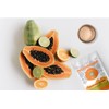 Ancient Roots Papaya Fruit Powder - All-Natural Food Coloring, Filled