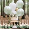 Whaline 180Pcs Gradient Green Tulip Cupcake Liners Sage Green Tulip