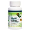 Univera RegeniFREE, All Natural Joint Supplement, Aloe Vera Turmeric, 60