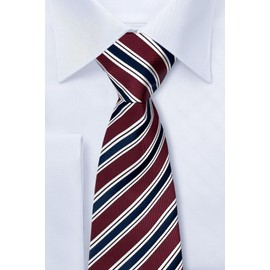 (リトリーズ) RETREEZ プレッピーストライプ柄 マイクロファイバー 織り生地 メンズ タイ ネクタイ - マルーンレッド&ネイビーブルー