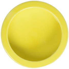 Bird Dish