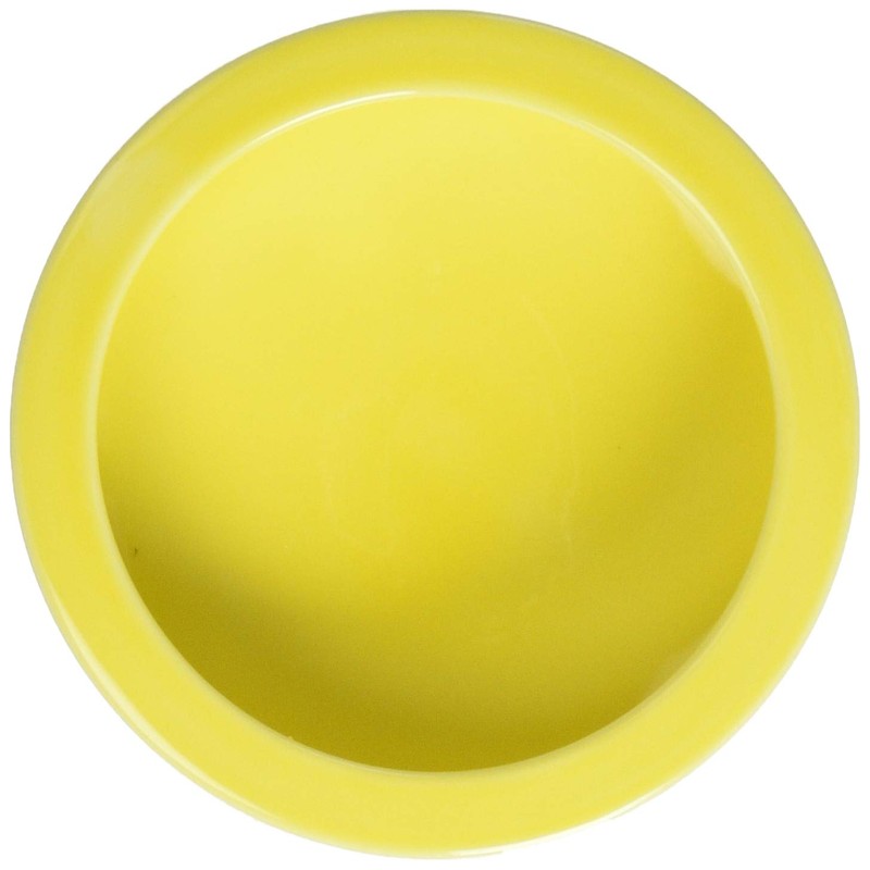 Bird Dish