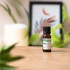 Organic Basil Essential Oil - 100% Natural & GC/MS Approved