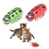 Mini Beetle, Pack of 2 Beetle Cat Toy, Electric Beetle