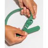 Wild One Collar - X Large Spruce