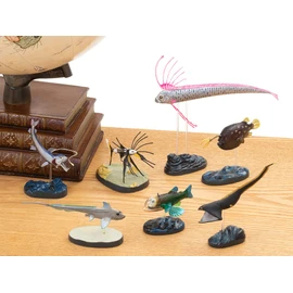 Carolata 3D Illustration Book, Deep Sea Fish Figure, 7 Types of Fish, Instruction Manual Included, Realistic Toy (Educational Toy), Birthday Gift, Present (Food Sanitation Law Clear), Real Figure Box, Model, Ancient Fish, Christmas Gift