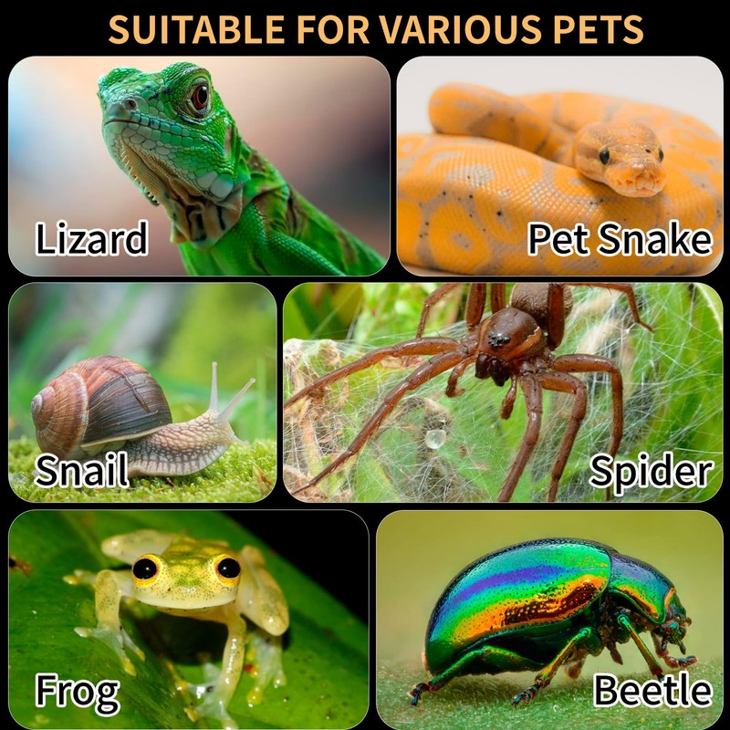 Acrylic Reptile Terrarium Easy Assembly, 360° Clear & Keep Pet