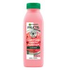 Fructis - Champú Garnier para el cabello Sandia, 300 ml
