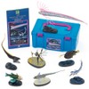 Carolata 3D Illustration Book, Deep Sea Fish Figure, 7 Types