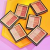 Wet n Wild MegaGlo Blushlighter, Blendable Blush Highlighter Set de