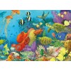 Ceaco - Underwater Color - 1000 Piece Jigsaw Puzzle