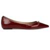 Sam Edelman Women's Nori Ballet Flat Cabernet Red 7.5 Medium