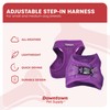 Downtown Pet Supply Step in Dog Harness for Small Dogs