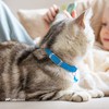 CollarDirect Leather Cat Collar, Cat Safety Collar with Elastic Strap,