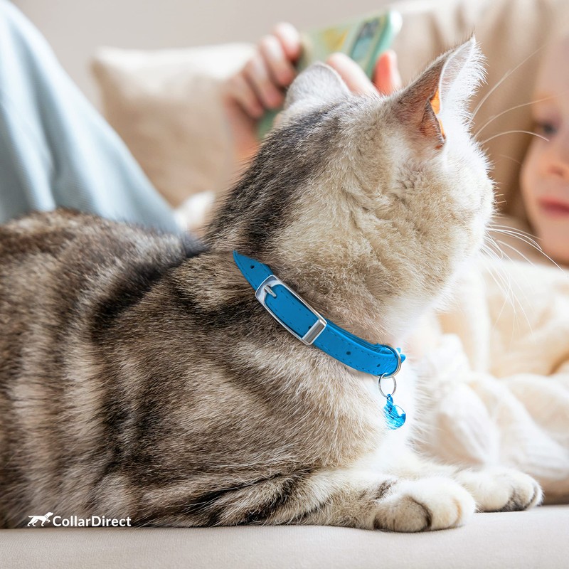 CollarDirect Leather Cat Collar, Cat Safety Collar with Elastic Strap,