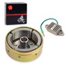 Magneto Rotor Flywheel & Regulator For Yamaha Blaster 200 YFS200